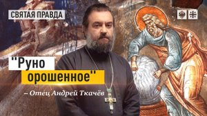 "Руно орошенное": Поучительная история ветхозаветного судьи Гедеона — отец Андрей Ткачёв