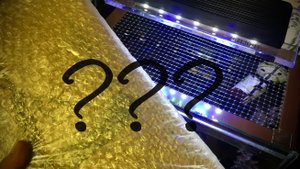 Новый светильник в морской аквариум