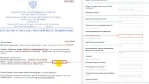 Договор дарения дома и земельного участка