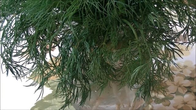 Как Дольше Сохранить Свежую Зелень - Укроп, Петрушку, Кинзу смотреть онлайн