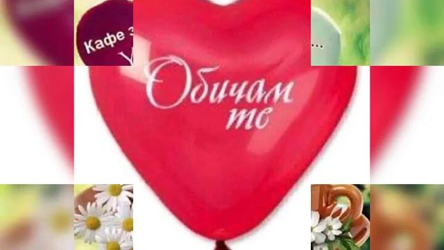 video 1543269055 смотреть онлайн