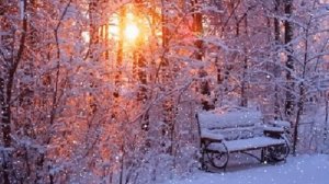 Парк. Зима. Скамейка. Новогодний футаж. Зимний футаж. Красивый футаж для видео.  Видеофон.