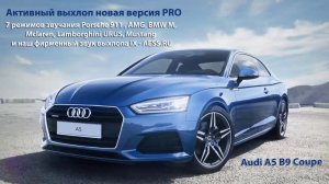 НОВАЯ ВЕРСИЯ PRO 7 РЕЖИМОВ! AESS.RU – Активный выхлоп