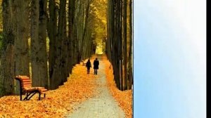 Летят года. К дню пожилых людей.