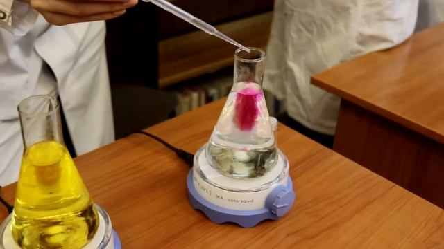 Волшебства много не бывает Всемирная ночь Гарри Поттера смотреть онлайн