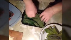 Как избавить скумбрию от собственного, спицефического запаха