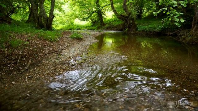 Relaxing River Sounds - Peaceful Forest River - 3 Hours Long - HD 1080p - Nature Video смотреть онлайн