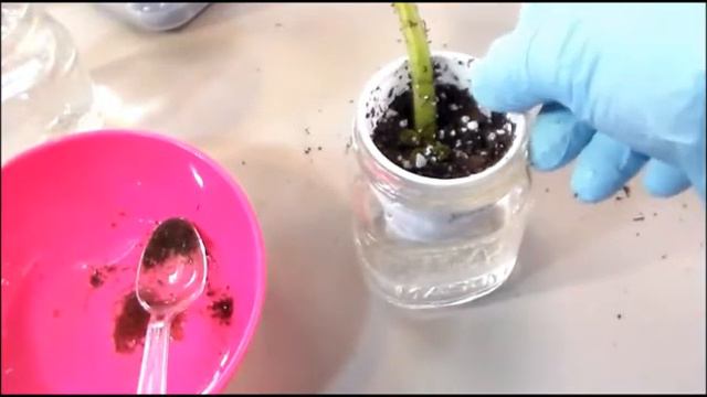 13-04-22 Propagate AV Part 2-2 смотреть онлайн