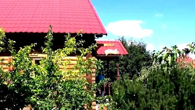 Буйничи: белорусская деревня 19 века смотреть онлайн