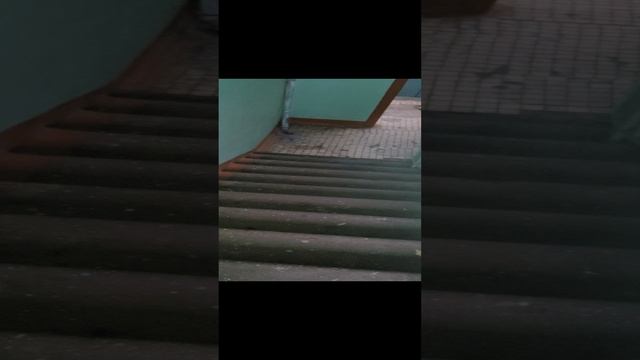 18:46 неизаестные в 47 с СУМКОЙ ух ты!