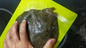 Разделка КАЛКАНА! Как правильно разделать КАЛКАНА?!