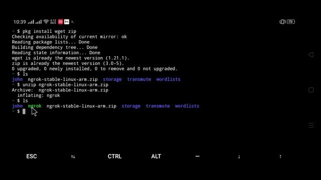 install ngrok in termux, latest | Bangla смотреть онлайн