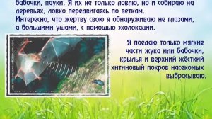 Бурый Ушан итог