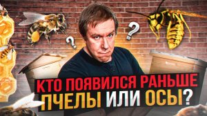 Кто появился раньше: пчелы или осы? Удивительные факты о насекомых с юмором