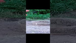 1000004464.mp4