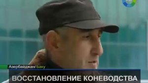 Азербайджанские коневоды возрождают древние породы