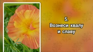 Гимны надежды 5 Вознеси хвалу и славу (-)