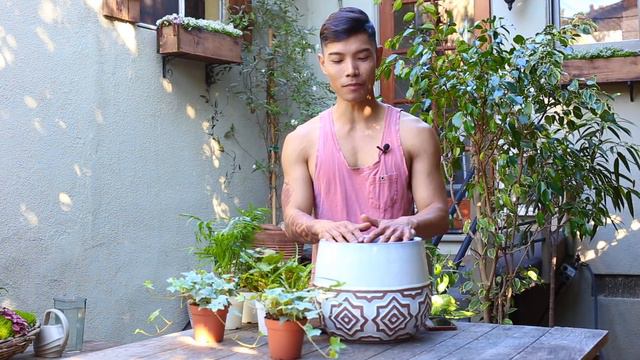 Houseplant arrangement for the kitchen counter смотреть онлайн