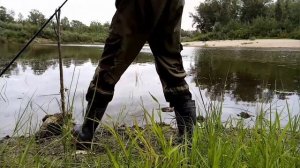 Нашли хищника. Рыбалка на живца. Алтайский край. Река Чумыш.