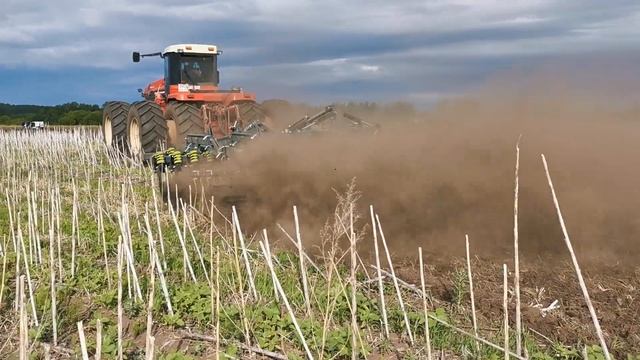 Дисковая борона Veles АН-8 БД обработка стерни подсолнечника