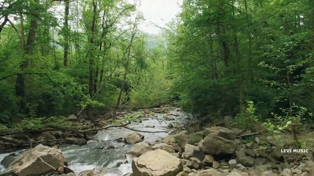 HAUSER CARUSO CELLO смотреть онлайн