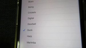 iPhone 11 All Ringtones and Alert Tones