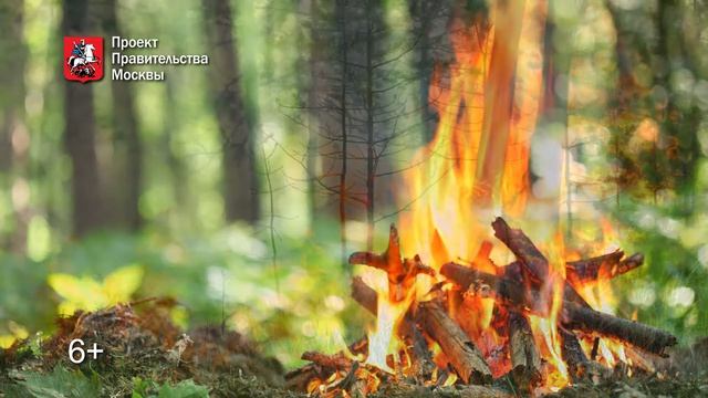 Берегите природу от пожара смотреть онлайн