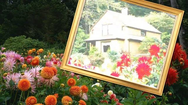 Вспышка фотоаппарата1 смотреть онлайн