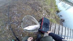 Форель на спиннинг TELE TWITCHING  Лучший телескопический спиннинг, осенняя рыбалка, trout