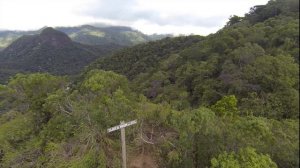 Tijuca rainforest & Rio de Janeiro