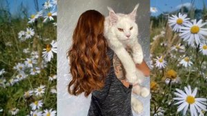 Самый большой кот Кефир