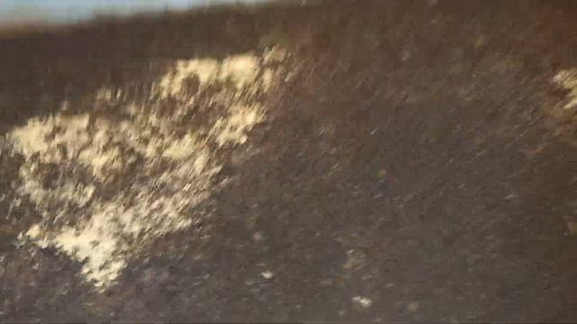 ❗Как вырастить ювенила калифорнийского червя!? смотреть онлайн