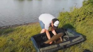 Водоем Жуковский. Ловля Черного Амура.