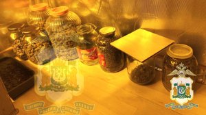 Наркоферма