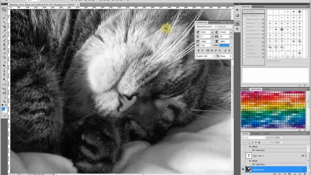 How to resize images in Photoshop