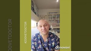 Сколько зубов у собак кошек, как определить возраст по зубам смена зубов #zoovetdoctor выпал зуб