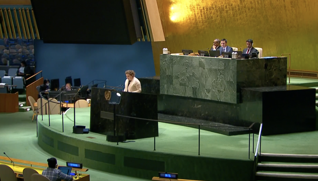 ? А.М.Евстигнеева на заседании СБ ООН по пункту «Доклад о работе Организации» (06.02.2023)