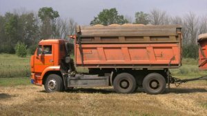 В Воронежском министерстве сельского хозяйства заявили о завершении уборки ранних зерновых культур
