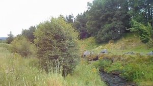 Шотландия летом, Scotland in summer