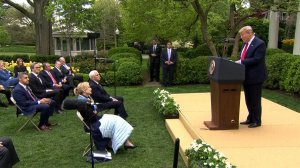 В ЕС сожалеют о решении США приостановить финансирование Всемирной организации здравоохранения
