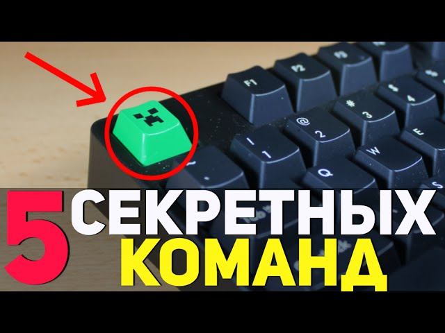 Секретные команды барвиха рп. Команда яндекс алиса. Команды рп гта барвиха. Какую секретную команду. Секретные команды алисы.