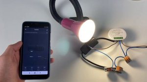 Подключение беспроводное двухканальное WIFI реле PS-link TMW02 16 Ампер