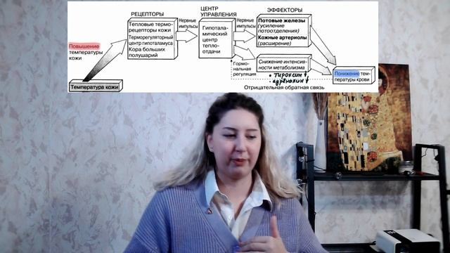 Терморегуляция у человека