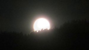 Vollmond Steinfeld Drautal