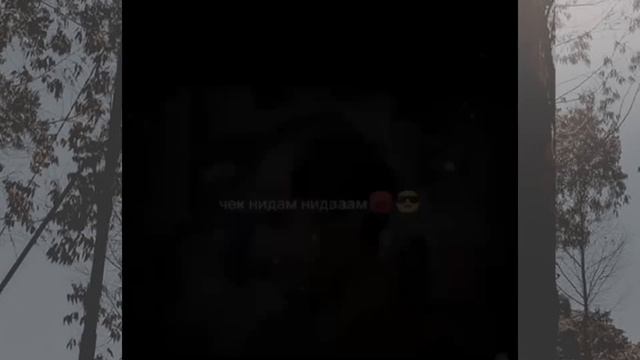 ПОДБОРКА ВИДЕО ИЗ ТИК ТОКА ПО ТРЕНДУ | 7cacheado | смотреть онлайн