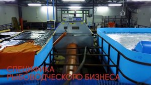 Выпуск 3. Коюз Топаз - Рыбная ферма по разведению осетровых пород