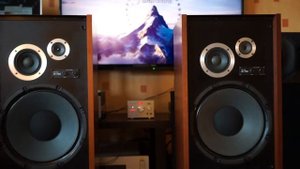 Victor JS-750 & Triode TRV845SE (3)