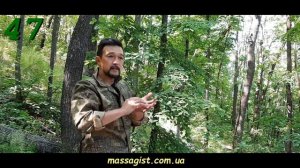 Массаж тут : 47 вибрация