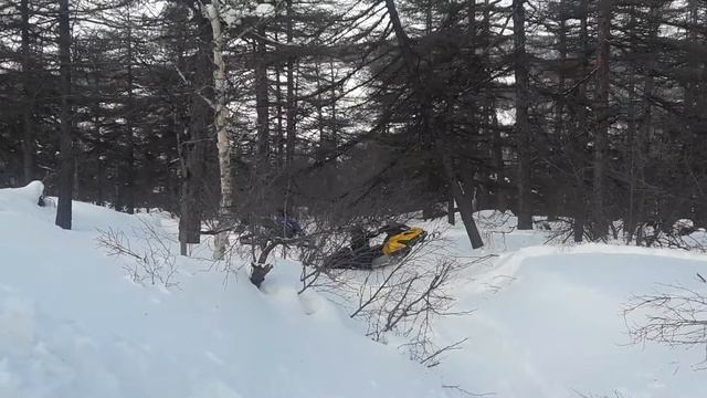 Брп тундра 550 уселся )) смотреть онлайн