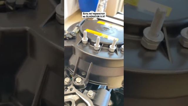 Есть ли термостат на GLADIATOR 9.9? смотреть онлайн